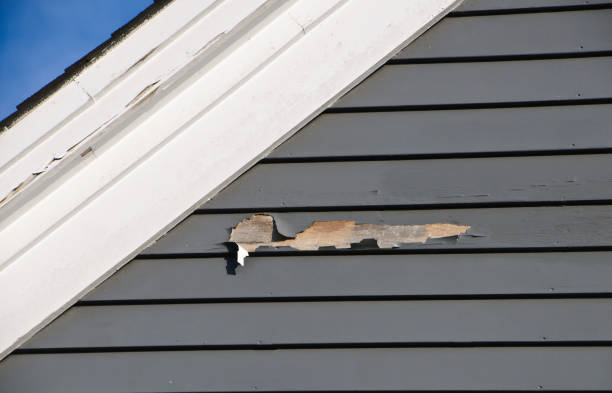 Best Siding Painting and Refinishing  in Ivanhoe, CA